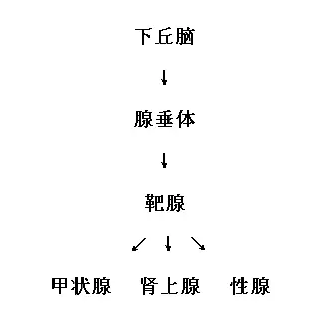 一图读懂腺垂体功能减退症，记住就能得分！